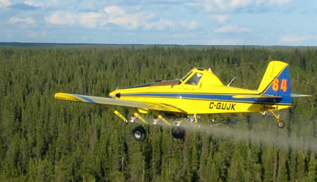 Forestry Spraying